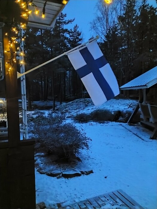 Finsk flagga vid ett hus med julbelysning, omgiven av snöbeklädda träd och buskar i skymningen.