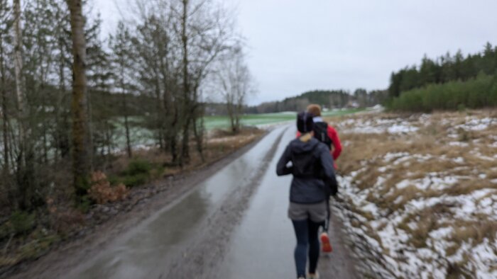 Två personer joggar på en landsväg i vinterlandskap, omgivna av träd och snöfläckar, under en mulen dag.