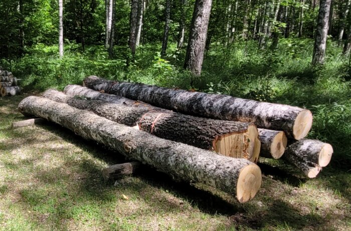 Stora staplade trästockar i skogsmiljö, placerade på marken under grönskande träd.