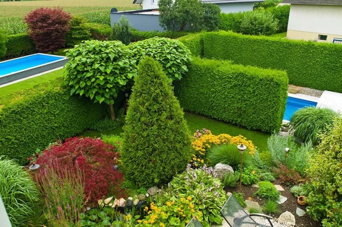 Välskött trädgård med tät thujahäck, prydnadsbuskar och blommor, samt en pool i en somrig miljö.