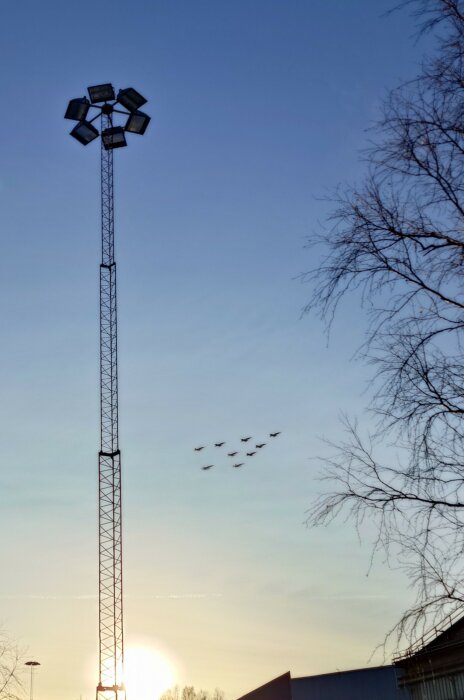 Hög mast med strålkastare mot en solnedgång, flera flygplan i formation på himlen, och trädgrenar till höger i bilden.