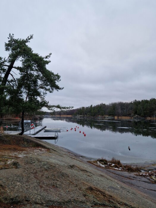 Brygga vid lugn sjö med bojar och tallar på frostigt landskap en molnig dag.