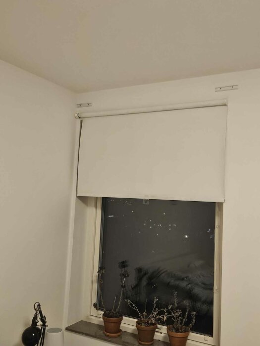 Fönster med rullgardin i lägenhet. Gardinskenan sitter nära väggen. Tre blomkrukor på fönsterbrädan. Lampor i bakgrunden.