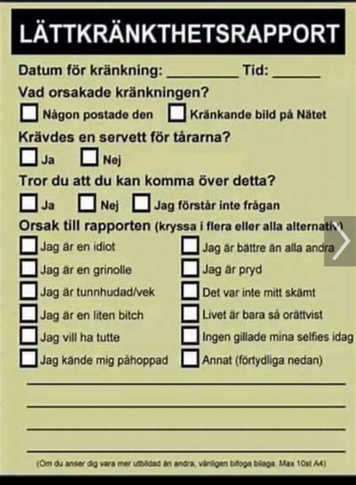 Formulär med rubriken "Lättkränkthetsrapport" som listar olika orsaker till kränkning samt frågor om händelsen.