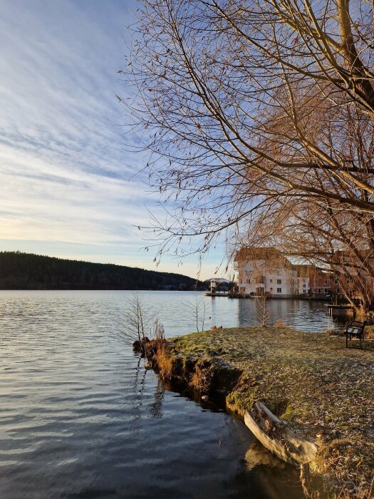 Vy över en sjö med frostbitet gräs vid strandkanten, ett träd med nakna grenar och ett hus i bakgrunden under en klar himmel.