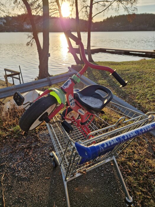 En röd barncykel placerad i en kundvagn vid en sjö, med solen som går ner bakom träden i bakgrunden.