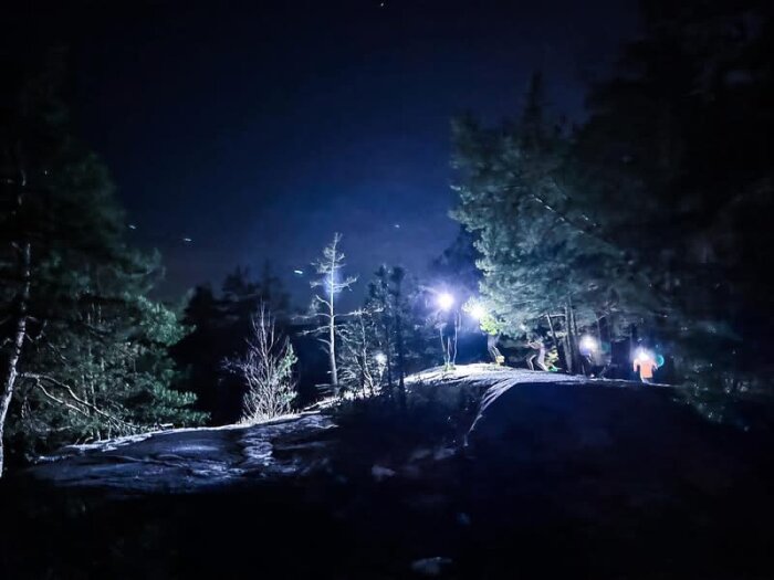 Personer springer i en skog på natten med pannlampor som lyser upp stigen.