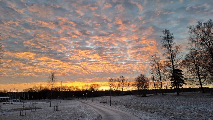 Snötäckt landskap med orange och blå morgonhimmel i bakgrunden, träd och en slingrande väg synliga i förgrunden.