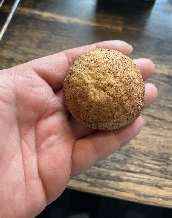 En nybakad snickerdoodle-kaka, hålls i en hand, med kanel och vanilj, något stabilare än väntat.