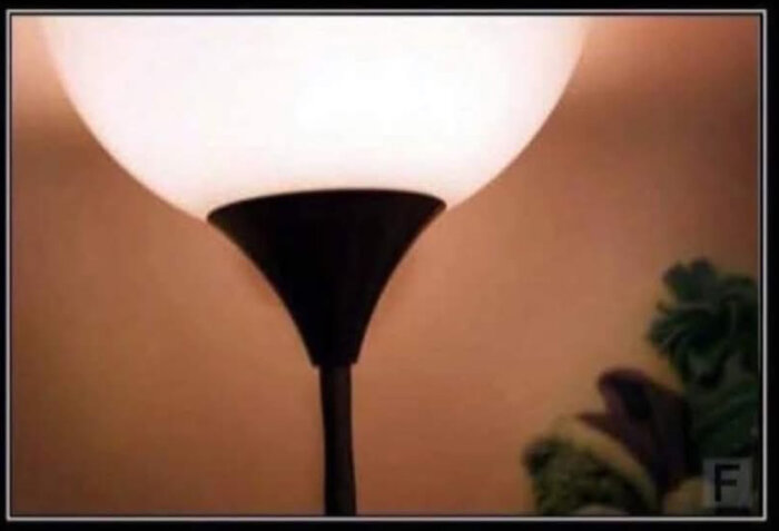 Stående lampa med vitt glas på mörk bas i ett rum, delvis skymd av dekorativa växter.