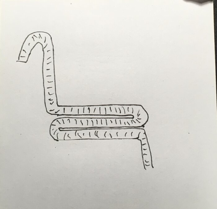 Handritad skiss av avloppsslangens placering från en tvättmaskin. Slangen är böjd i en serpentinkurva och visas hur den ligger i ett trångt utrymme.