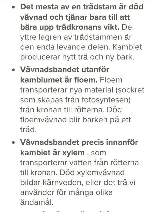 Text om trädstammens uppbyggnad: död vävnad, floem och xylem kring kambium.