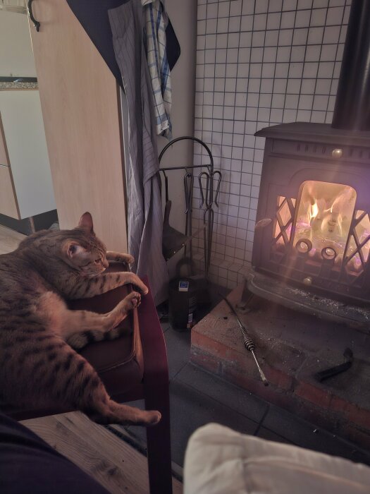 Katt som ligger avslappnat på en stol framför en tänd braskamin.