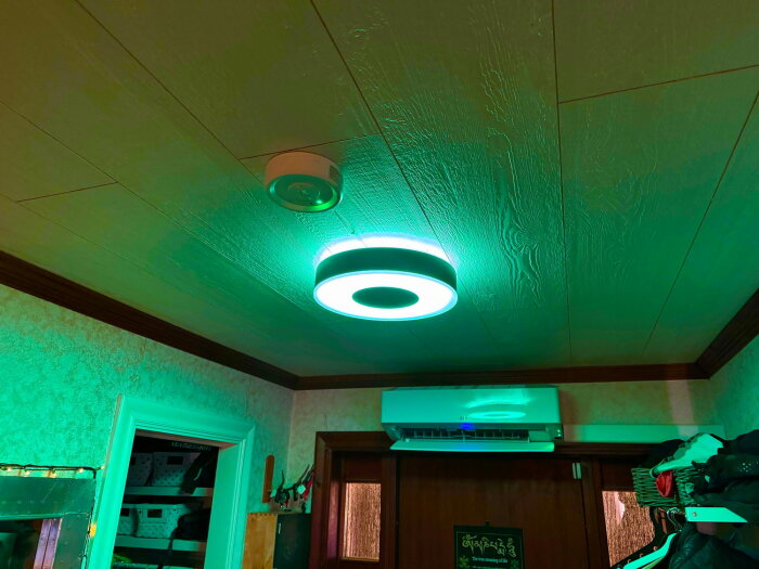 Grönbelysning från ett smart takplafond i hallen, aktiverad via GPS-halsband för kattens hemkomst.