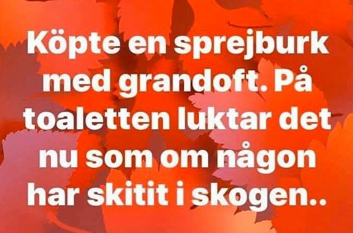 Text på orange bakgrund med löv: "Köpte en sprejburk med grandoft. På toaletten luktar det nu som om någon har skitit i skogen.