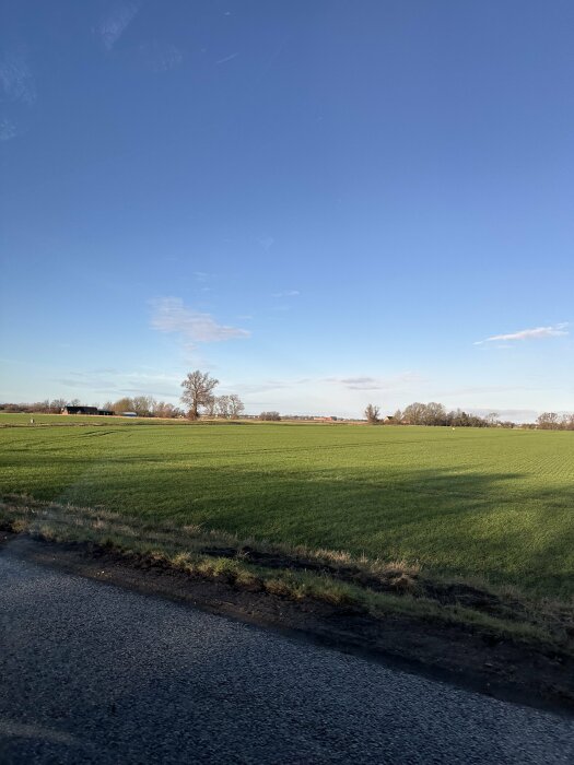 Lantligt landskap med grön åker och klar blå himmel, en vägkant syns i förgrunden.