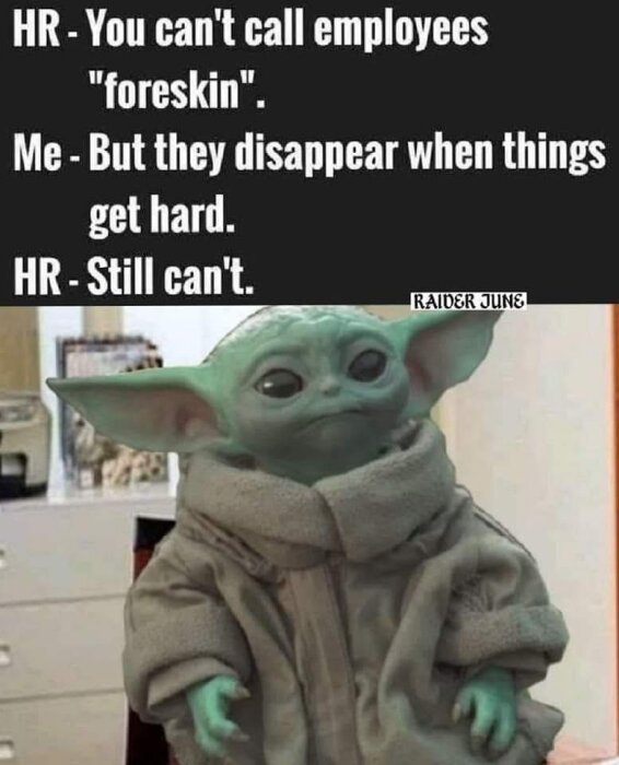 En meme med texten "You can't call employees 'foreskin'" och en bild på en figur i en filtrock.