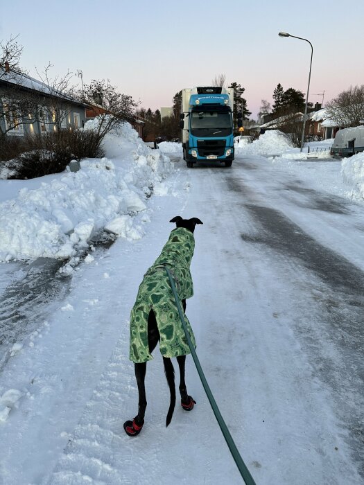 Hund i grön jacka och röda skor promenerar på en snöig väg mot en stor lastbil under vintertid.