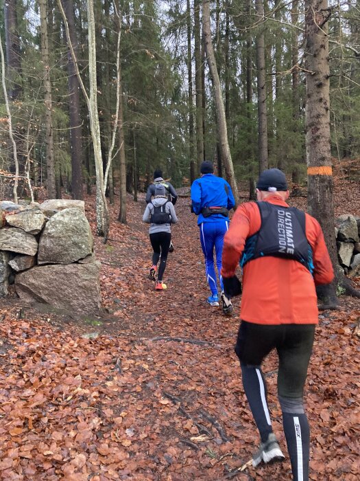 Personer joggar i en skog på en stig täckt av höstlöv.