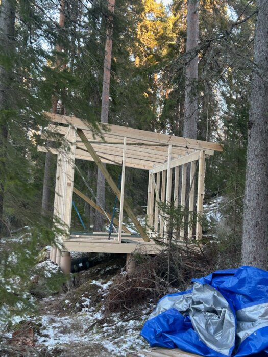 Stomme till friggebod under byggnation i skogen, med omgivande träd och en blå presenning på marken.