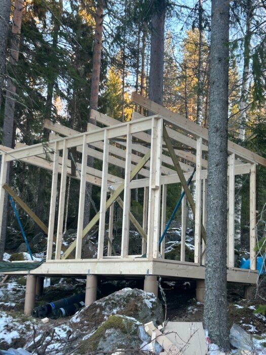 Byggstomme för en friggebod under uppförande i skogsmiljö, med snö på marken.