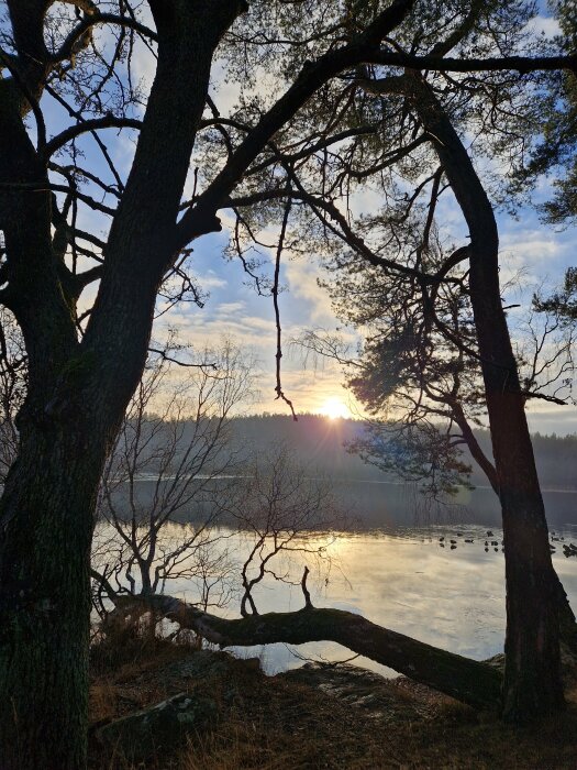 Solnedgång över en sjö med träd i förgrunden och spegelblanka vattenytor, omgivna av skogsklädda kullar i bakgrunden.
