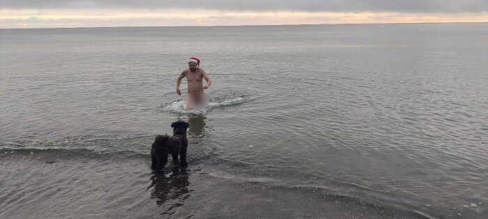 Man med tomteluva badar i havet, en hund står på stranden och tittar på. Molnig himmel och lugnt vatten.