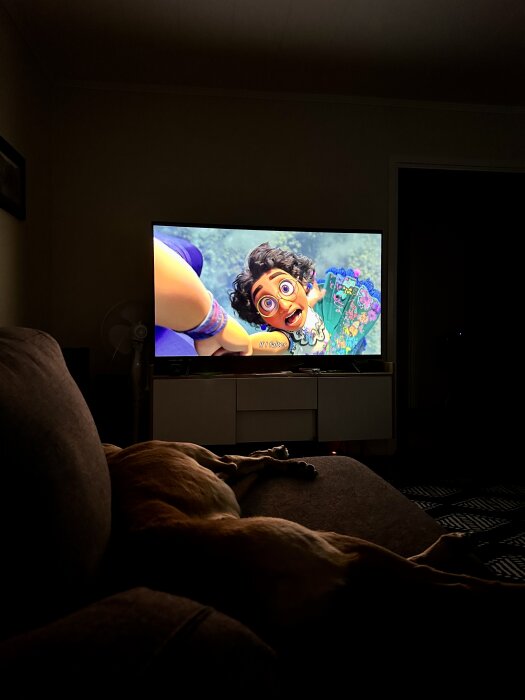 Hund vilar på soffa framför TV som visar animerad film "Encanto".