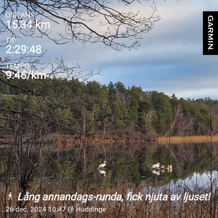 Spegelblank sjö med två svanar vid skog inramad av grenar, text visar distans, tid och tempo från en löprunda i Huddinge.