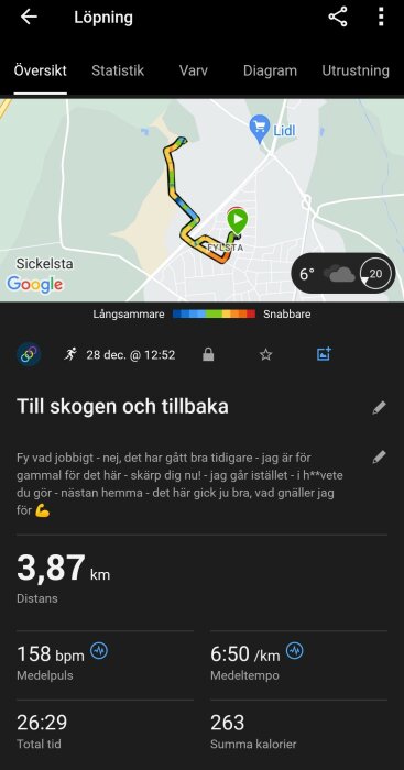 En löprunda på 3,87 km visas på en karta, med detaljer som tidpunkt, distans, medelpuls och medeltempo. Rundan heter "Till skogen och tillbaka".