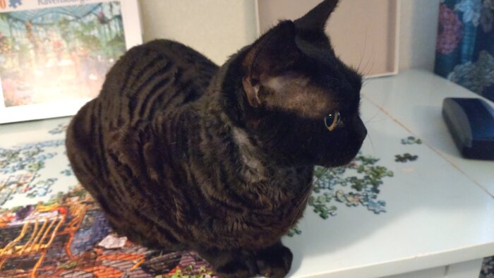 Svart katt sitter på ett ofärdigt pussel med pusselbitar spridda på ett bord.