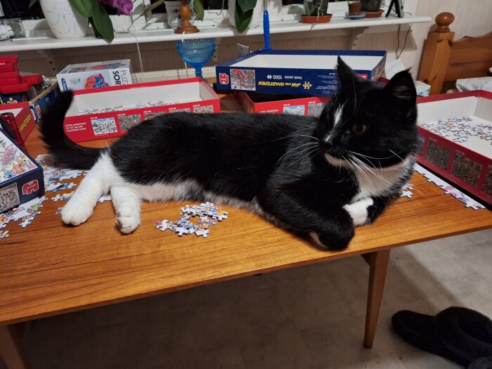Svartvit katt ligger bland pusselbitar på träbord, omgiven av pussellådor.