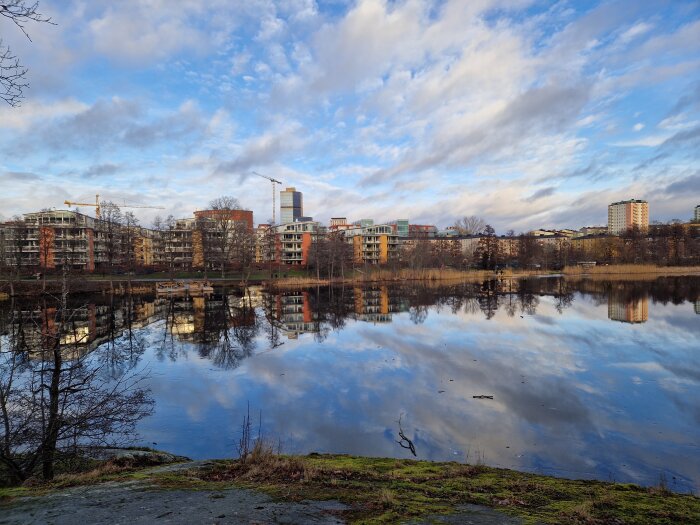 Stadsvy med moderna lägenhetsbyggnader och byggkranar reflekterade i en lugn sjö, omgiven av träd och en molnig himmel.