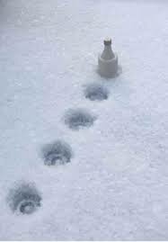 Flaska och stövlar i snö bildar en rebus.