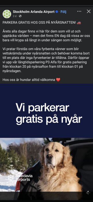 Hund i bil bagageutrymme framför snöig skog, med texten "Vi parkerar gratis på nyår".