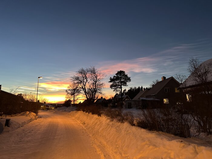 Snötäckt väg i vinterkväll med solnedgång och silhuetter av hus och träd. Lampljus lyser upp snön längs vägen.