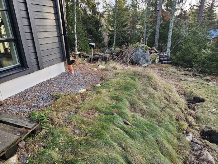 Trädgård vid husfasad med makadam och sluttande gräsmatta, skog i bakgrunden. Förberett för bygge av en altan.