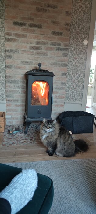 Kamin med brinnande eld, en lurvig katt sitter framför på ett trägolv, del av fot och soffa syns i förgrunden.