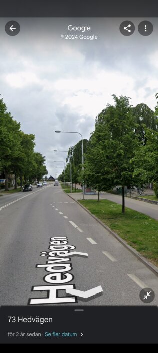 Gata med träd och lyktstolpar längs trottoar, del av Hedvägen, med bilar körande i båda riktningar en molnig dag.