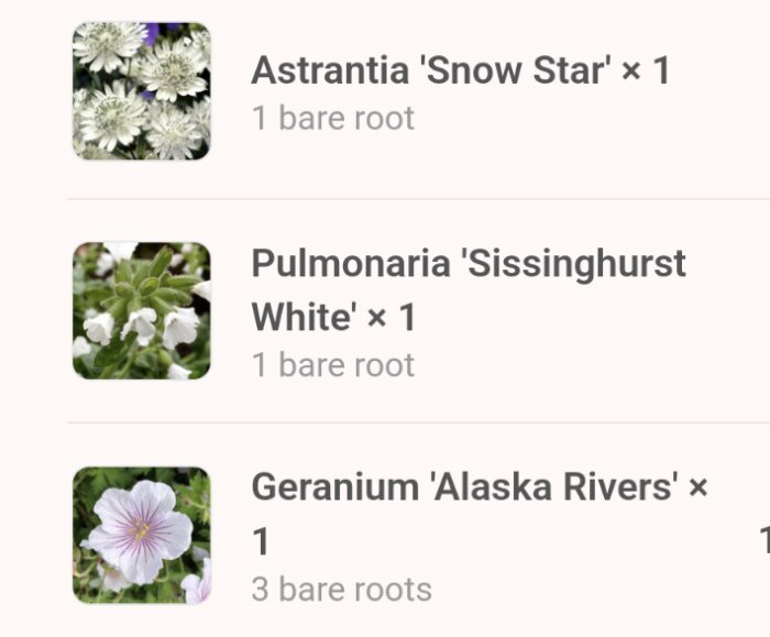 Listar barrotade perenner: Astrantia 'Snow Star', Pulmonaria 'Sissinghurst White', och Geranium 'Alaska Rivers' med bilder av blommorna.