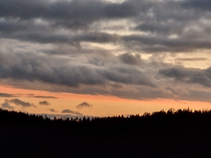 Molnig himmel i skymningen över skogslandskapet i horisonten.