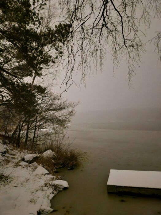 Snöbelagd sjöstrand med träd och en brygga under en molnig himmel vid skymning.