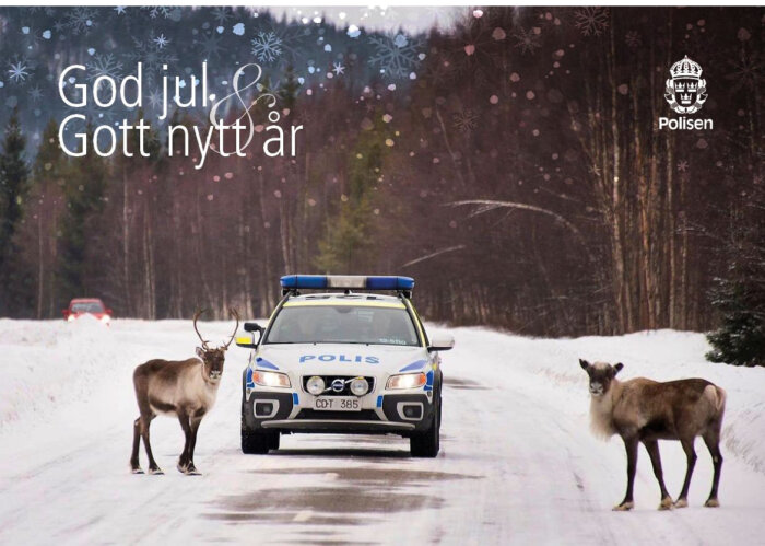 Polisbil på vinterväg med två renar fram, omgiven av snö och granar, med texten "God jul & Gott nytt år" samt polisens emblem.