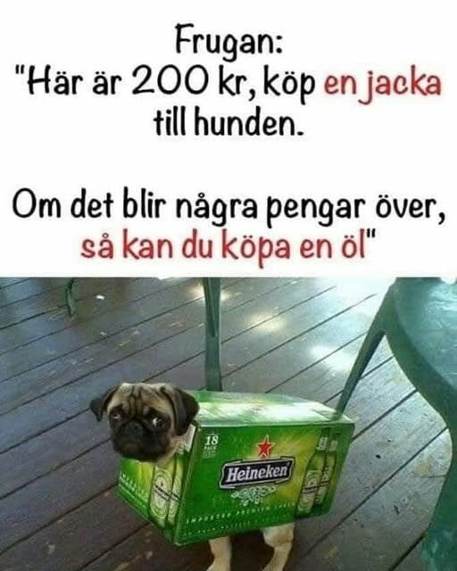 En hund klädd i en kartong med texten "Heineken". Kartongen används som jacka. Text ovan beskriver att pengarna skulle användas till en hundjacka och öl.