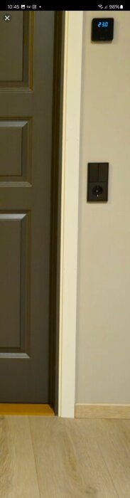 Grå dörr med vita foder, svart brytare på beige vägg, golv och list i matchande trätoner, och en framträdande tröskel.