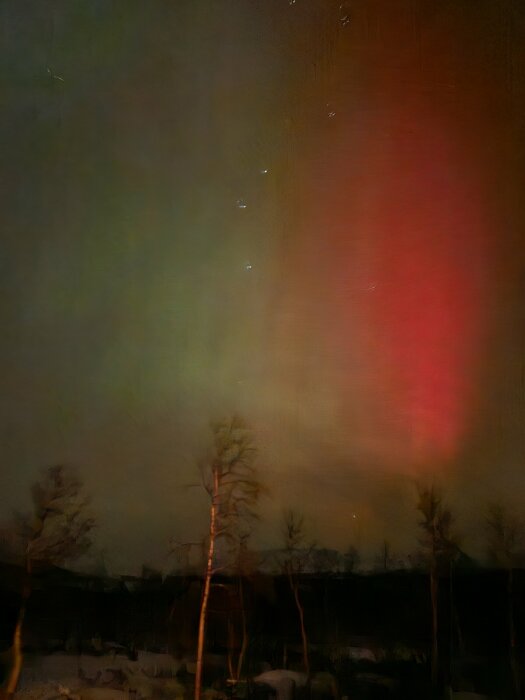 Norrsken över ett vinterlandskap med några träd i förgrunden. Himlen är upplyst i gröna och röda nyanser.