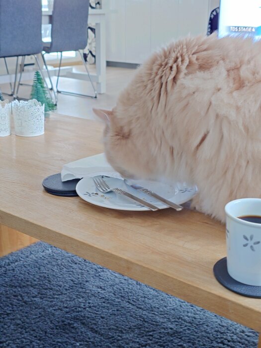 Katten nosar på en tallrik med bestick på ett soffbord bredvid en kopp kaffe.