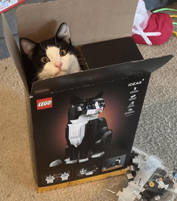 En katt i en Lego-förpackning sitter och tittar ut ur kartongen, omgiven av oöppnade plastpåsar med Lego-bitar.