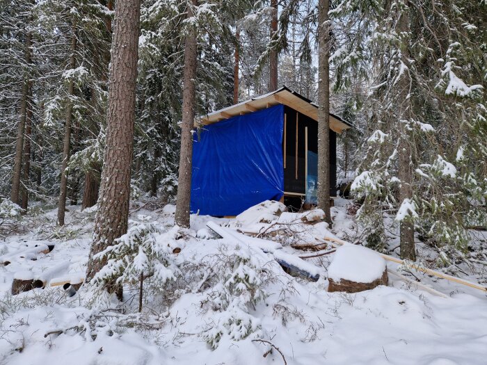 Stomme till hus under konstruktion i skog, delvis täckt av en blå presenning, omgiven av snötäckta träd i vinterlandskap.