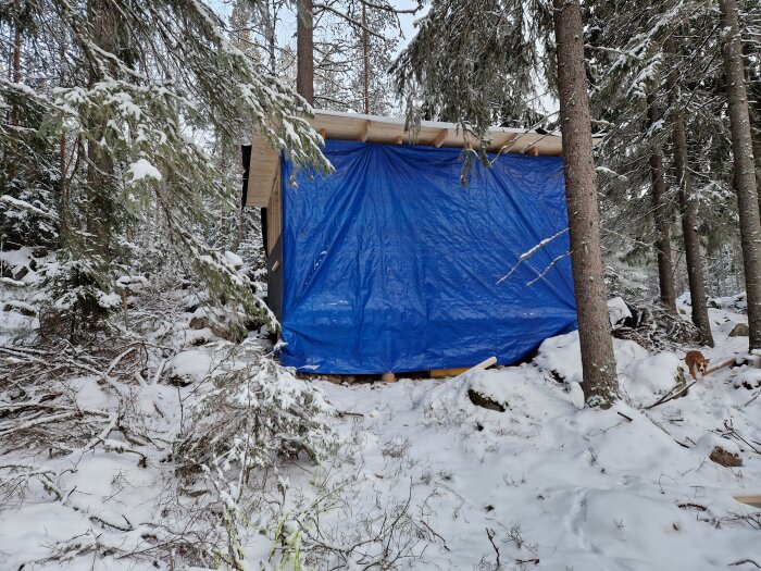 Snötäckt skog med en byggstomme täckt av en blå presenning.